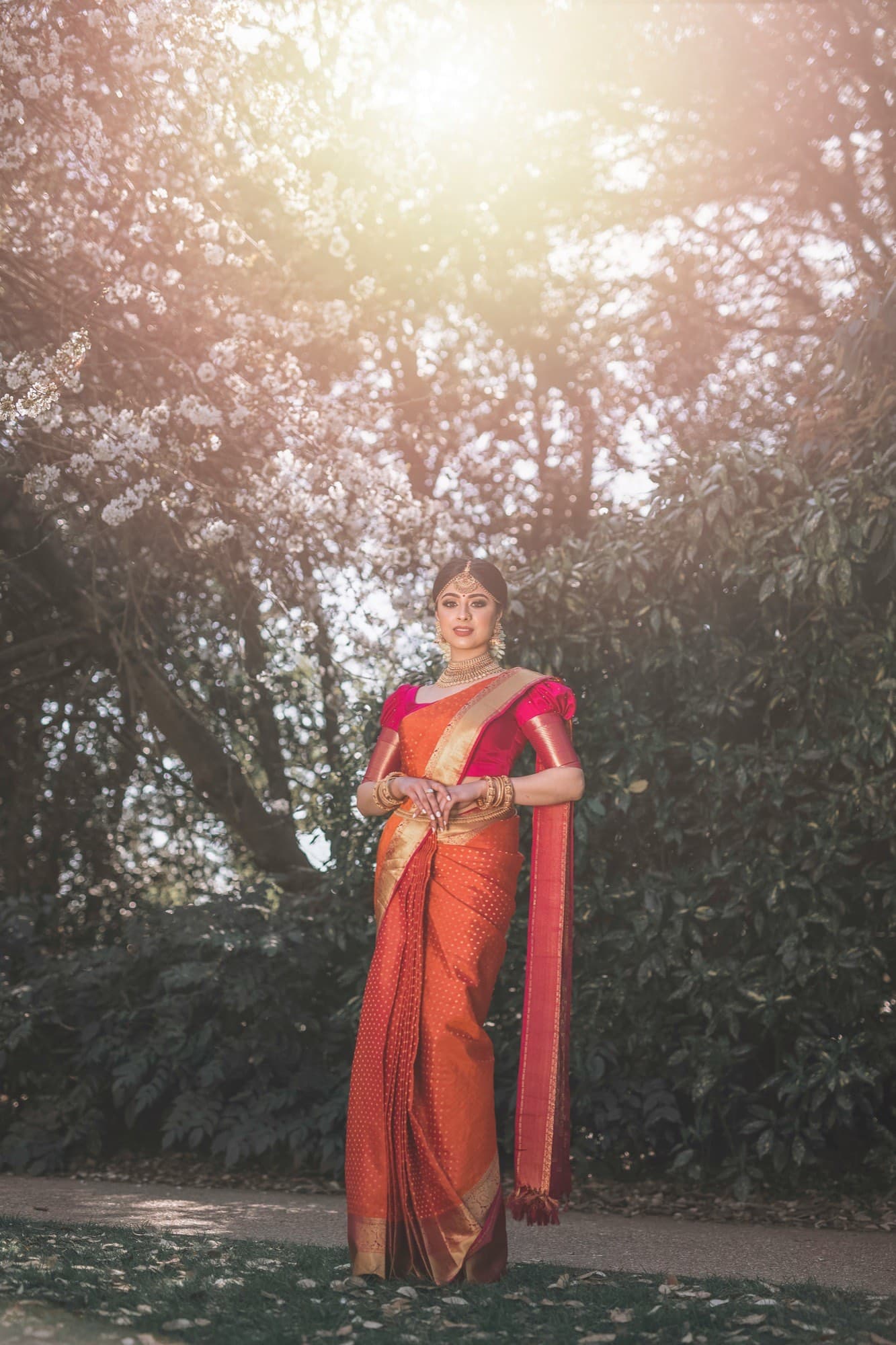 Vera Tussar Silk Saree